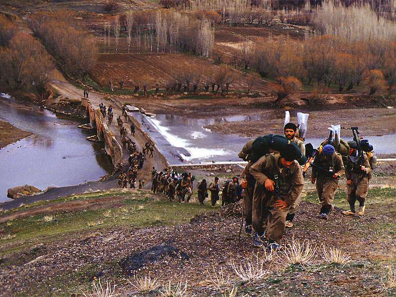 آزادسازی میمک آزادسازی میمک