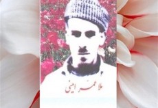 حکومت اسلامی را یاری کنید تا عدل و داد در جهان برپا شود
