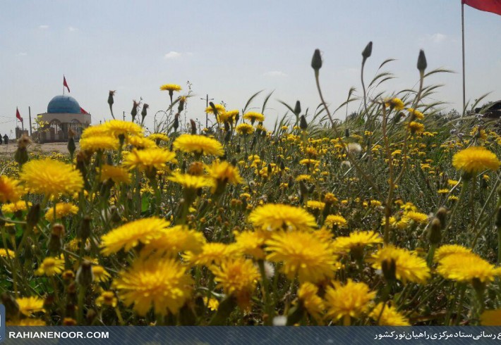 دشت لالهها یادآور خون شهدا <img src="/images/picture_icon.gif" width="16" height="13" border="0" align="top"> دشت لالهها یادآور خون شهدا <img src="/images/picture_icon.gif" width="16" height="13" border="0" align="top">
