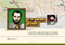 لوح| شیر مرد کوچک کردستان