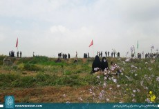 اینجا شرهانی است؛ شهادت گاه فرزندان این مرزوبوم...