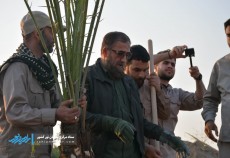 کاشت ۲۵ اصله نهال در معراج شهدای اهواز  <img src="/images/picture_icon.gif" width="16" height="13" border="0" align="top">