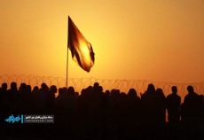 تصاویری زیبا از خیل عظیم زائران در یادمان شهدای کانال کمیل و حنظله  <img src="/images/picture_icon.gif" width="16" height="13" border="0" align="top">