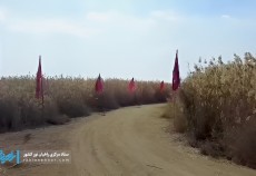 حال و هوای زئران کهگیلویه‌ و بویراحمد در یادمان شهدای علقمه  