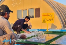 غبارروبی تربت مطهر شهدای یادمان باقری توسط خادمین شهدا