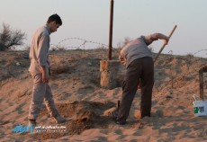 حال و هوای خادمین شهدا در یادمان شهدای فکه  <img src="/images/picture_icon.gif" width="16" height="13" border="0" align="top">