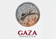 پوستر هفته / غزه مظلوم